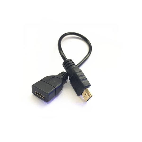 Mini HDMI Type C Female to HDMI male Type A Cable.jpg